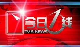 广东今日一线新闻爆料,重磅爆料，揭秘背后真相！